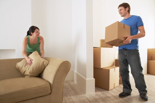 Professional man and van team handling boxes for a flat move